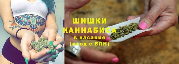шишки Абдулино