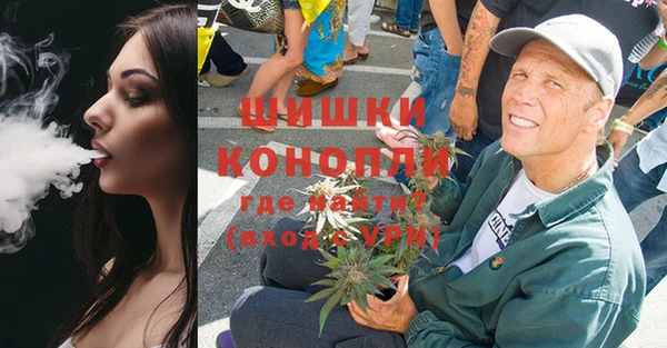 мдпв Майский